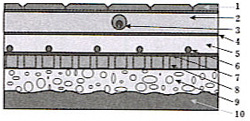     ( )    Ekson heating Cable   